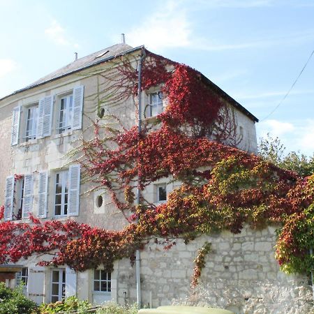 Villa Gite Au Calme Avec Jardin Et Wifi A La Roche-Posay - Fr-1-541-52 Exterior foto